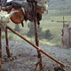 Image for article titled Raised by Indians: The Searchers, The Last Of The Mohicans (1992), Little Big Man